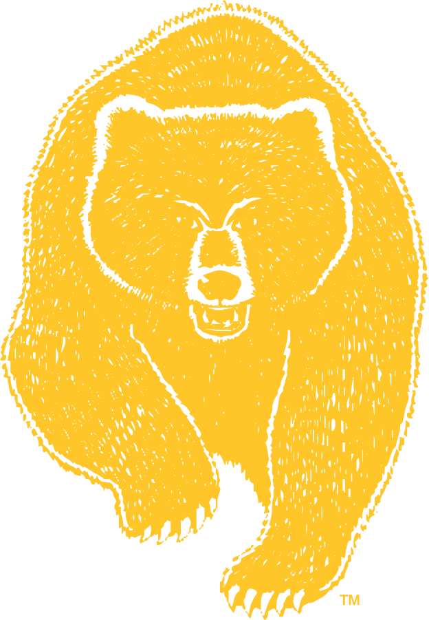 California Golden Bears 1982-1999 Secondary Logo diy iron on heat transfer